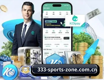 333体育 APP 深度功能
