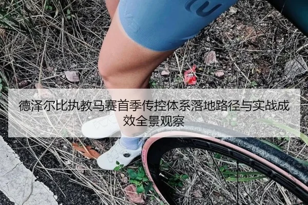 德泽尔比执教马赛首季传控体系落地路径与实战成效全景观察